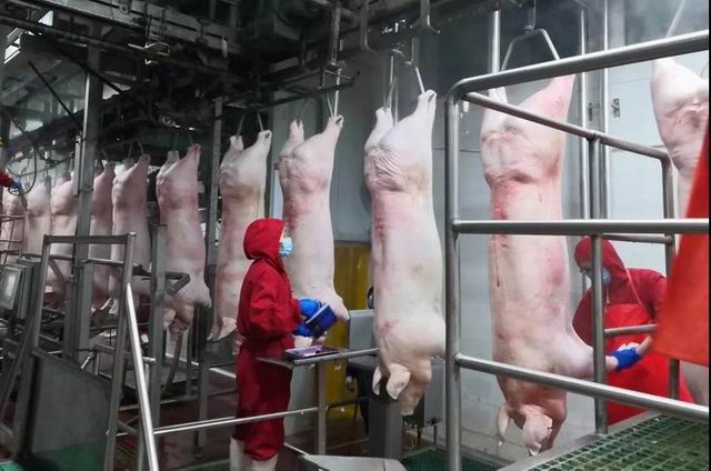 1581937523151725.jpg 15.jpg