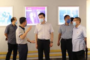 洛阳市副市长魏险峰莅临洛阳乐鱼官方站页面登录入口调研