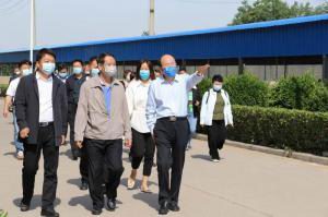 洛阳食品行业重点企业观摩团莅临洛阳乐鱼官方站页面登录入口