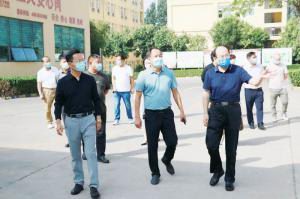 西工区人大代表到洛阳乐鱼官方站页面登录入口调研指导工作