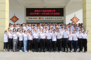 总结过去，计划未来，协同创新，再创佳绩！洛阳乐鱼官方站页面登录入口举行2023年上半年工作总结会议